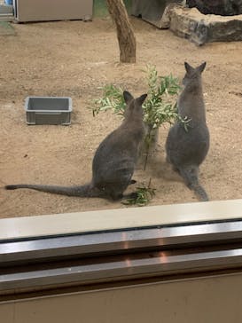 天王寺動物園に投稿された画像（2020/10/4）