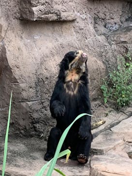 天王寺動物園に投稿された画像（2020/10/4）