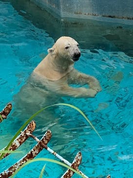 天王寺動物園に投稿された画像（2020/10/4）
