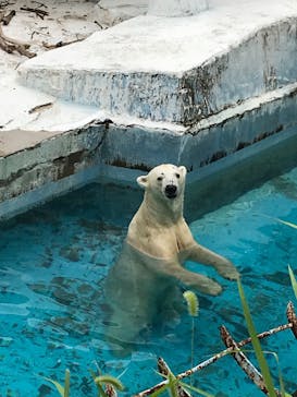 天王寺動物園に投稿された画像（2020/10/4）