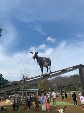 成田ゆめ牧場に投稿された画像（2020/10/4）