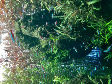 すみだ水族館に投稿された画像（2020/10/4）