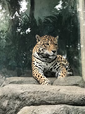 天王寺動物園に投稿された画像（2020/10/4）