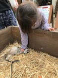 しろとり動物園に投稿された画像（2020/10/4）