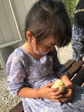 しろとり動物園に投稿された画像（2020/10/4）