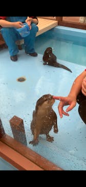 ゼロ距離水族館 伊勢シーパラダイスに投稿された画像（2020/9/21）