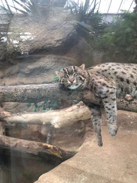 神戸どうぶつ王国に投稿された画像（2020/10/4）