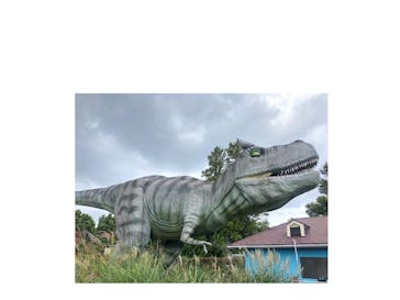 伊豆ぐらんぱる公園に投稿された画像（2020/10/4）