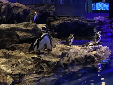 すみだ水族館に投稿された画像（2020/10/4）