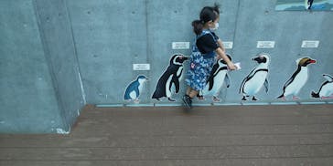 九十九島動植物園森きららに投稿された画像（2020/10/4）