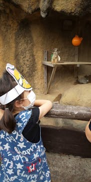 九十九島動植物園森きららに投稿された画像（2020/10/4）