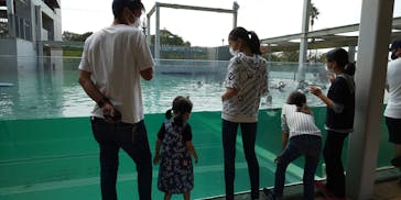 九十九島動植物園森きららに投稿された画像（2020/10/4）