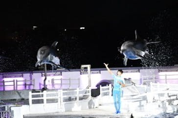 京都水族館に投稿された画像（2020/10/4）