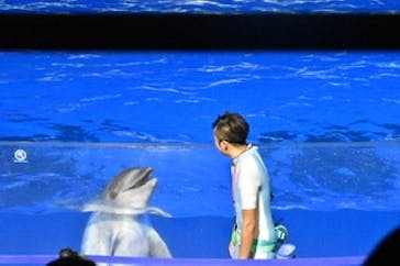 京都水族館に投稿された画像（2020/10/4）