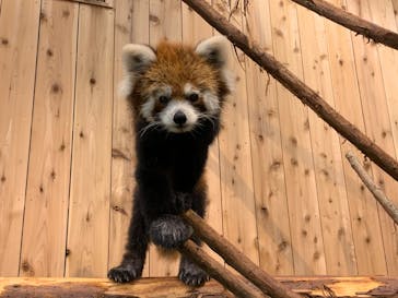 伊豆シャボテン動物公園に投稿された画像（2020/10/5）