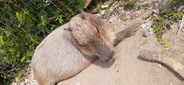 横浜・八景島シーパラダイスに投稿された画像（2020/10/5）