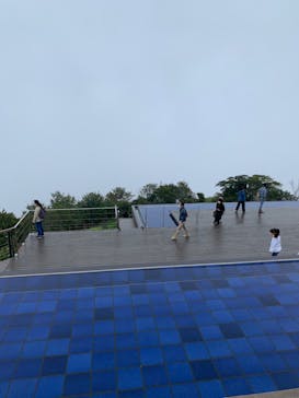 びわ湖バレイに投稿された画像（2020/10/5）