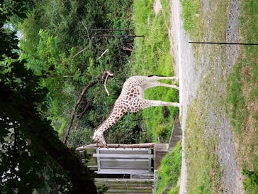天王寺動物園に投稿された画像（2020/10/5）