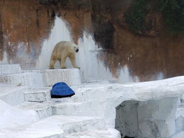 天王寺動物園に投稿された画像（2020/10/5）