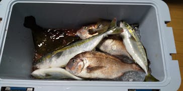 錦フィッシングパークに投稿された画像（2020/10/5）