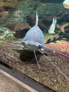 サンシャイン水族館に投稿された画像（2020/10/5）