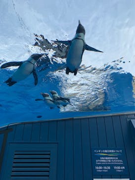 サンシャイン水族館に投稿された画像（2020/10/5）