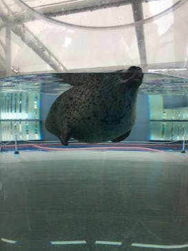 京都水族館に投稿された画像（2020/10/5）