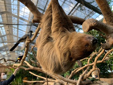 神戸どうぶつ王国に投稿された画像（2020/10/5）