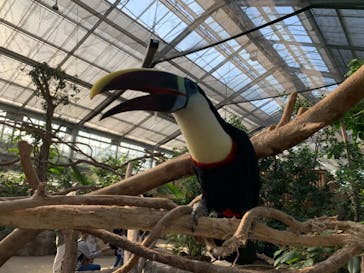 神戸どうぶつ王国に投稿された画像（2020/10/5）