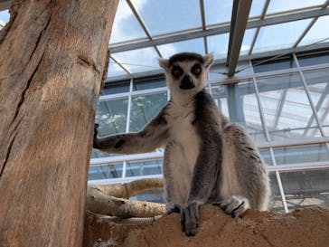 神戸どうぶつ王国に投稿された画像（2020/10/5）