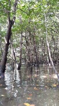 CHOROに投稿された画像（2020/10/5）