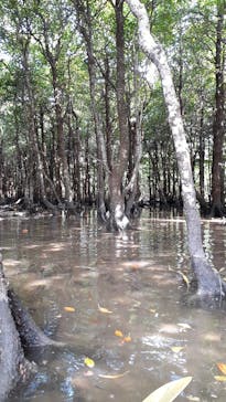 CHOROに投稿された画像（2020/10/5）