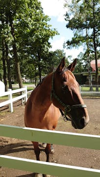 ノーザンホースパークに投稿された画像（2020/10/5）