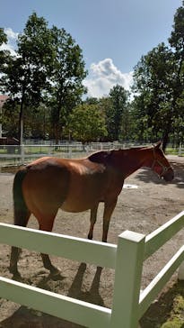 ノーザンホースパークに投稿された画像（2020/10/5）