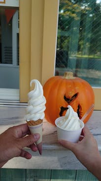 ノーザンホースパークに投稿された画像（2020/10/5）