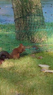 ノーザンホースパークに投稿された画像（2020/10/5）