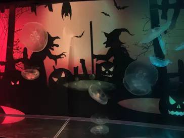 すみだ水族館に投稿された画像（2020/10/5）