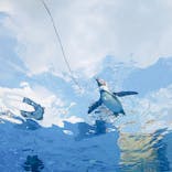 サンシャイン水族館に投稿された画像（2020/10/5）