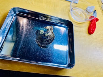 三重県真珠に投稿された画像（2020/10/5）