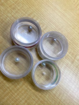 三重県真珠に投稿された画像（2020/10/5）