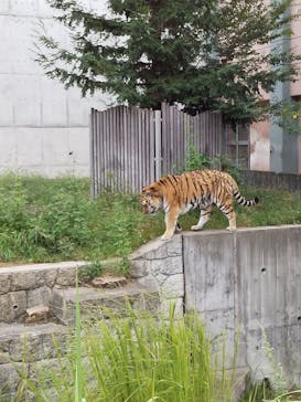 天王寺動物園に投稿された画像（2020/10/5）