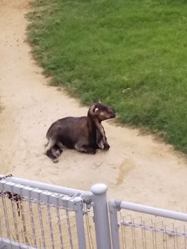 天王寺動物園に投稿された画像（2020/10/5）