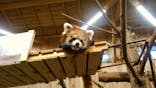 伊豆シャボテン動物公園に投稿された画像（2020/10/6）