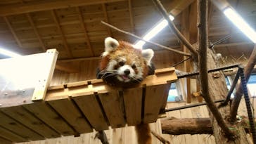 伊豆シャボテン動物公園に投稿された画像（2020/10/5）