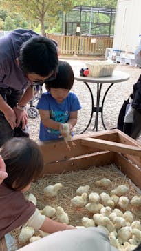 しろとり動物園に投稿された画像（2020/10/5）