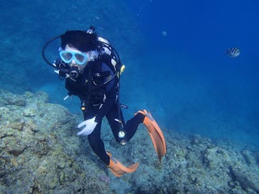 MalDive（モルダイブ）に投稿された画像（2020/10/6）