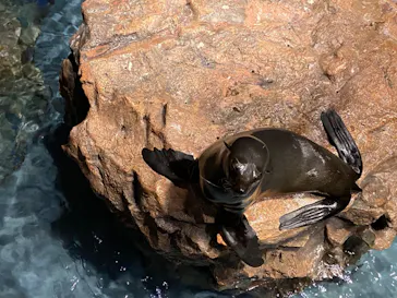 すみだ水族館に投稿された画像（2020/10/6）