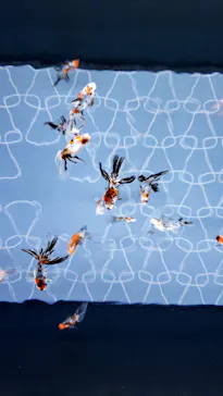 すみだ水族館に投稿された画像（2020/10/6）