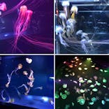 すみだ水族館に投稿された画像（2020/10/6）