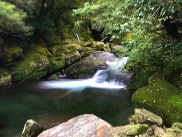 屋久島ガイドクラブに投稿された画像（2020/10/4）